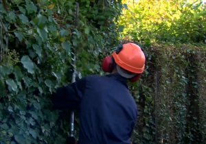 Community service covered by BBC